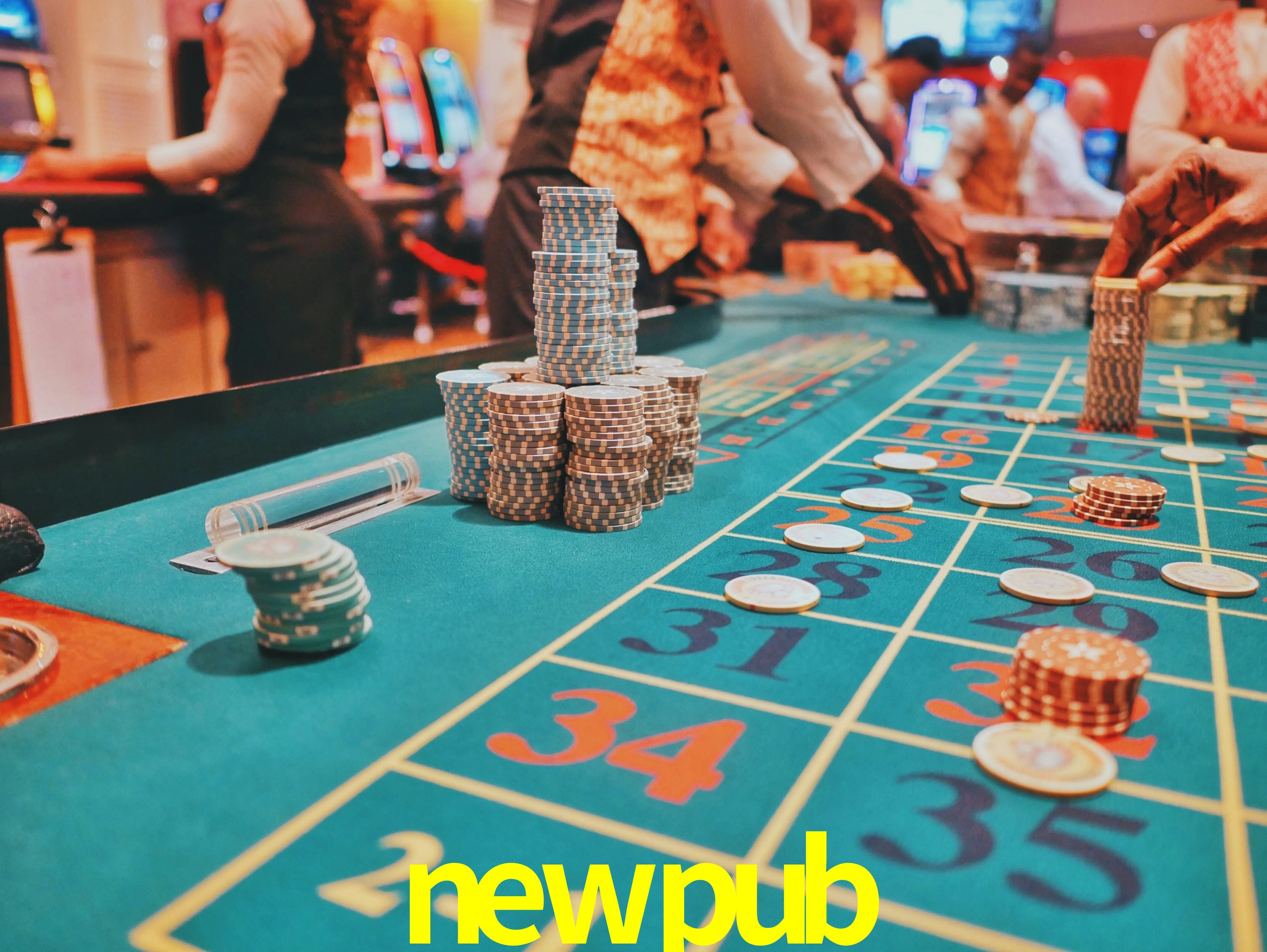 Programa VIP newpub